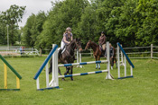 Springplatz und Springreiten, Reitunterricht - Reiterhof Kolb in Schleswig-Holstein