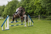 Springplatz und Springreiten, Reitunterricht - Reiterhof Kolb in Schleswig-Holstein