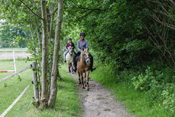 Reiten, Ausritt, Reitunterricht - Reiterhof Kolb in Schleswig-Holstein