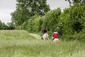 Reiten, Ausritt, Reitunterricht - Reiterhof Kolb in Schleswig-Holstein