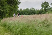 Reiten, Ausritt, Reitunterricht - Reiterhof Kolb in Schleswig-Holstein