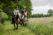 Reiten, Ausritt, Reitunterricht - Reiterhof Kolb in Schleswig-Holstein