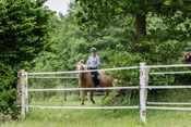 Reiten, Ausritt, Reitunterricht - Reiterhof Kolb in Schleswig-Holstein