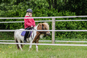 Reiten, Ausritt, Reitunterricht - Reiterhof Kolb in Schleswig-Holstein