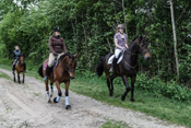 Reiten, Ausritt, Reitunterricht - Reiterhof Kolb in Schleswig-Holstein