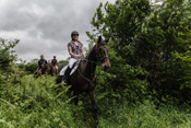 Reiten, Ausritt, Reitunterricht - Reiterhof Kolb in Schleswig-Holstein