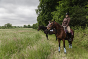 Reiten, Ausritt, Reitunterricht - Reiterhof Kolb in Schleswig-Holstein