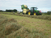 eigene Futterproduktion: Heu und Heulage - Reiterhof Kolb in Schleswig-Holstein