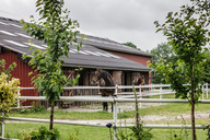 paddock-mit-malerischer-aussicht.jpg