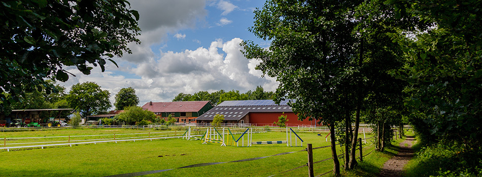 20140701-reiterhof-kolb-056.jpg