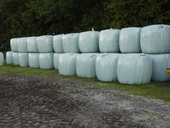 silage-ballen-von-2014.jpg